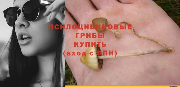 стафф Абдулино
