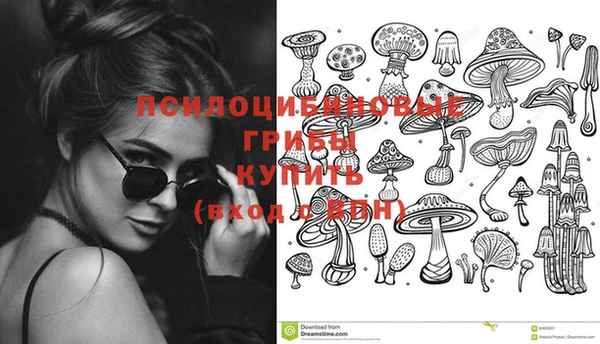 соль ск Абинск
