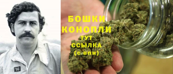 трава Абаза