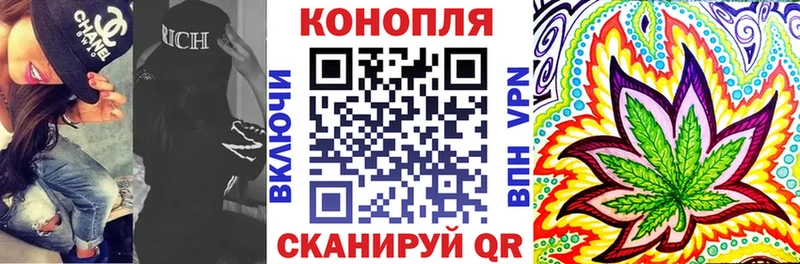 Бошки марихуана конопля  где купить наркоту  Иннополис 